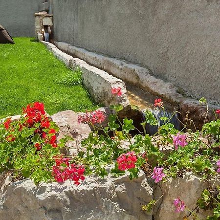 Il Frantoio A Monte-Vicino Al Lago Malcesine Exteriér fotografie